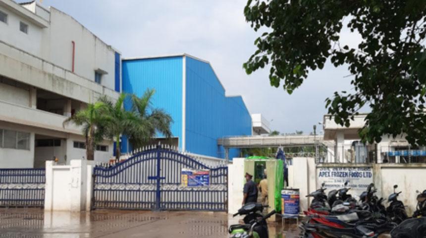 Apex Frozen Foods Ltd