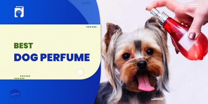 10 Best Dog Perfumes to Keep Your Pet Fresh All Times
