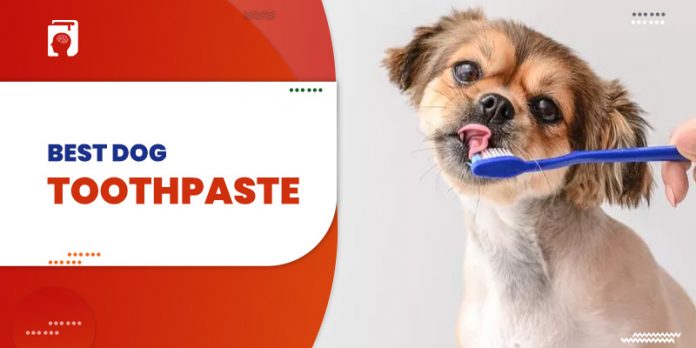 Best Dog Toothpaste To Maintain your Pet’s Dental Health