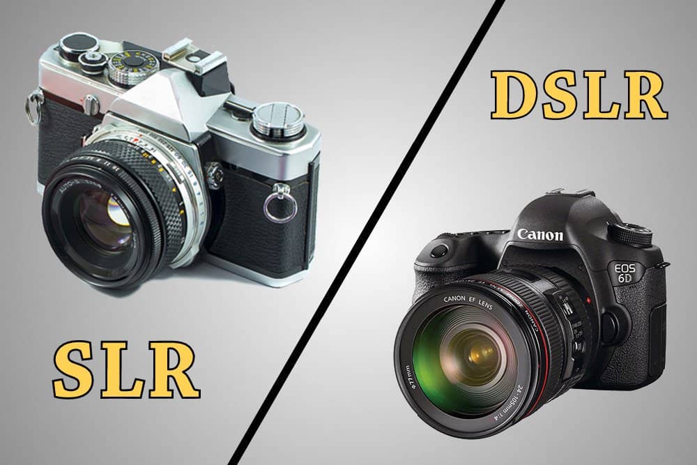 DSLR vs SLR: Head to Head Comparison