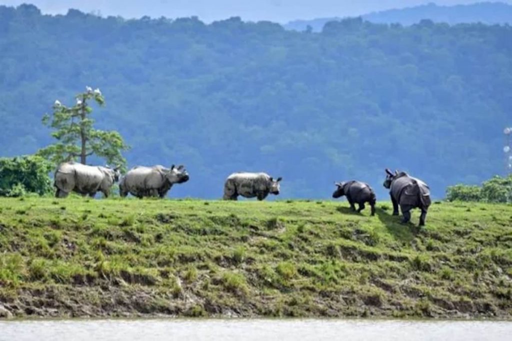 Dehing Patkai National Park