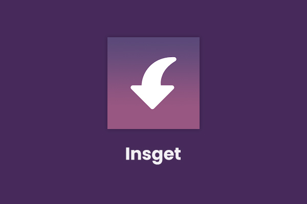 Insget