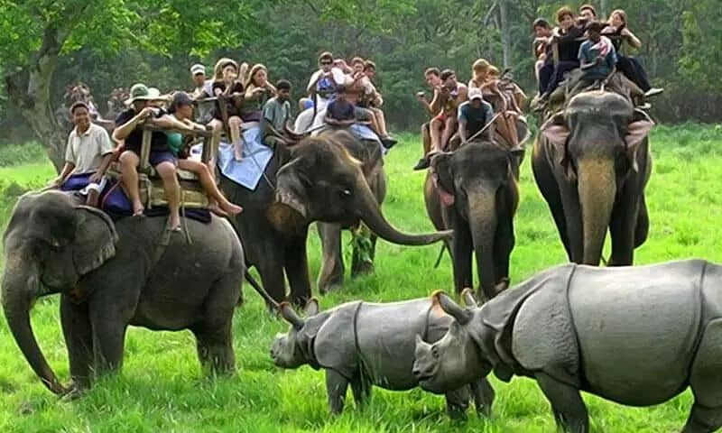 Kaziranga National Park