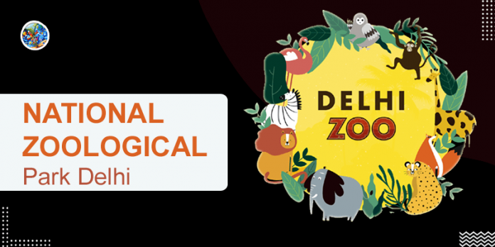 National Zoological Park: Timing, Entry Fees, & Location