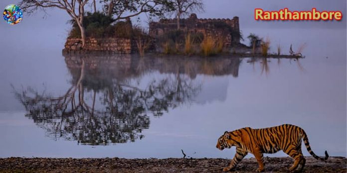 Ranthambore National Park | Tiger Reserve and Wildlife Sanctuary