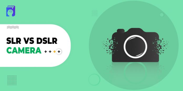 SLR vs DSLR Camera: Which is Best Digital Camera For You?