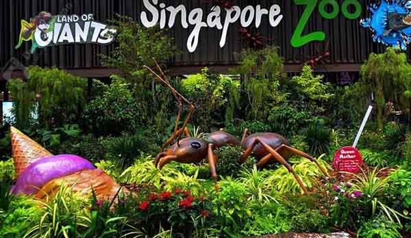 Singapore zoo