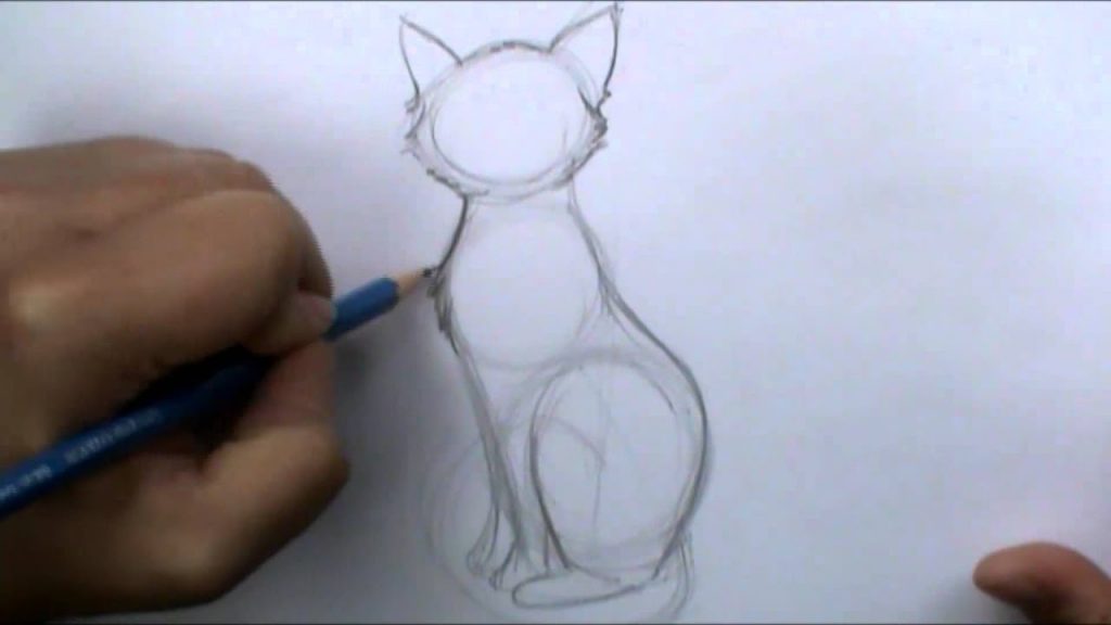 Sitting Cat Drawing