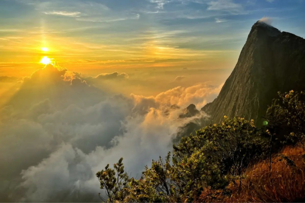 kolukkumalai teaestate