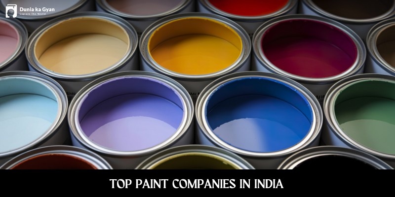 Top Paint Companies In India: Brushing Up The Pallet