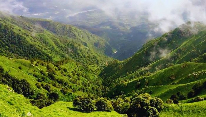 Benog Wildlife Sanctuary near Mussoorie with lush green hills and valley view