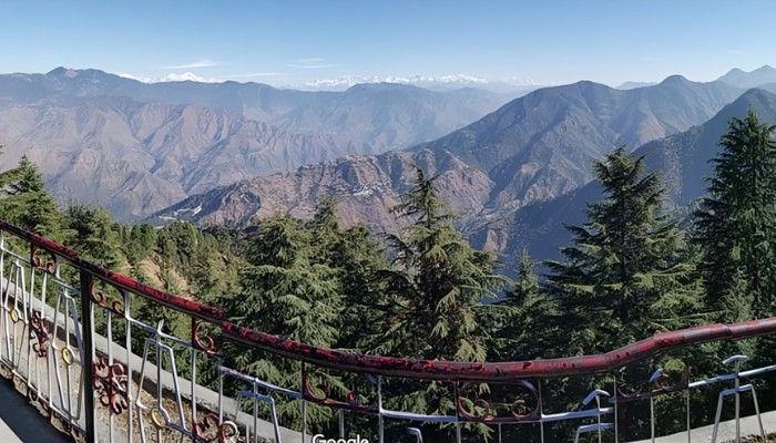 Scenic view from Lal Tibba Mussoorie overlooking Himalayan mountains and pine trees