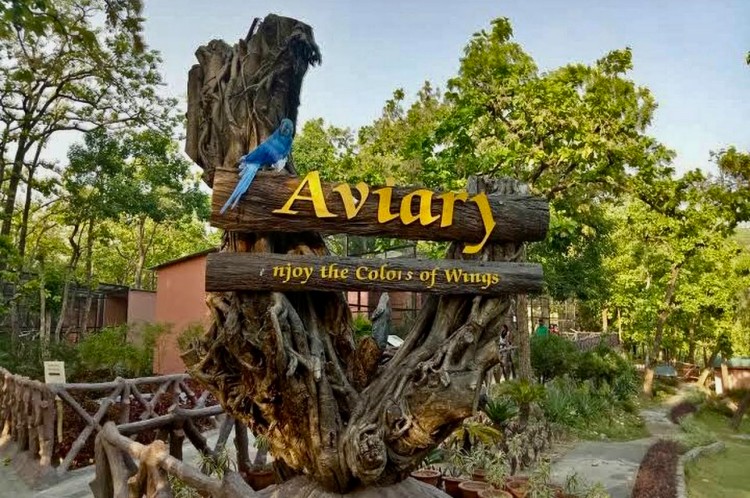 Dehradun Zoo (Malsi Deer Park) Complete Visitor Guide 