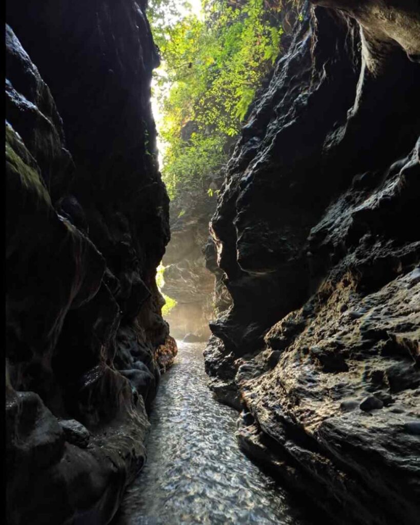 Narrow rocky gorge with a flowing stream, sunlight filtering through cliffs and lush green foliage above.