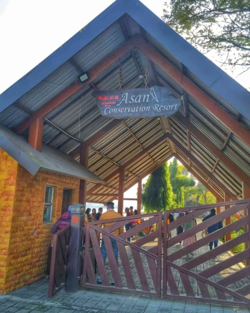 Asan Barrage Dehradun wetland bird sanctuary.
