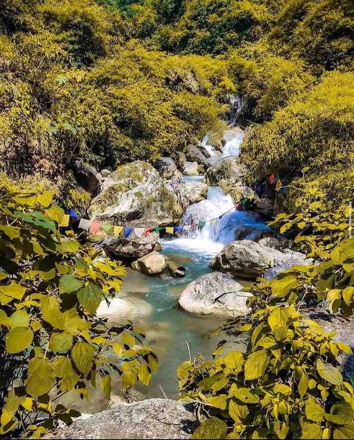 Shikhar Falls Dehradun waterfall amid forest trail.