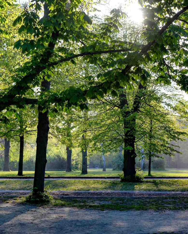 MDDA Park with greenery and walking paths
