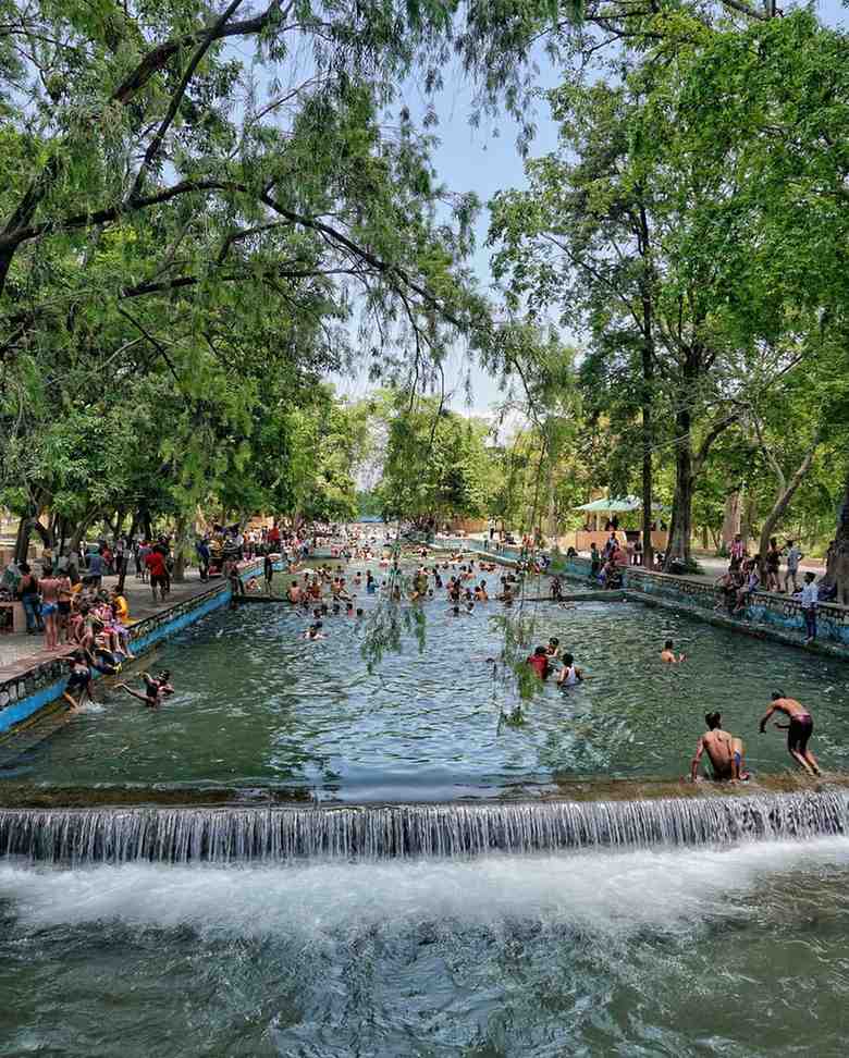 Lachhiwala Nature Park Dehradun with forest and water pools.