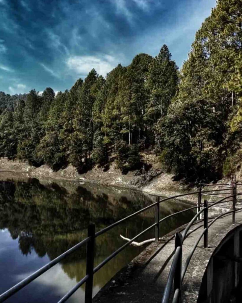 Bhalu Dam surrounded by nature near Ranikhet