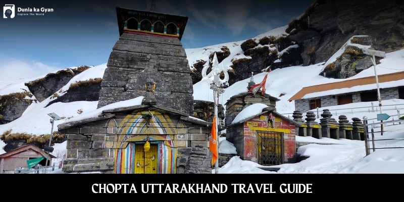 Chopta Uttarakhand Travel Guide – Treks, Snow & Stay