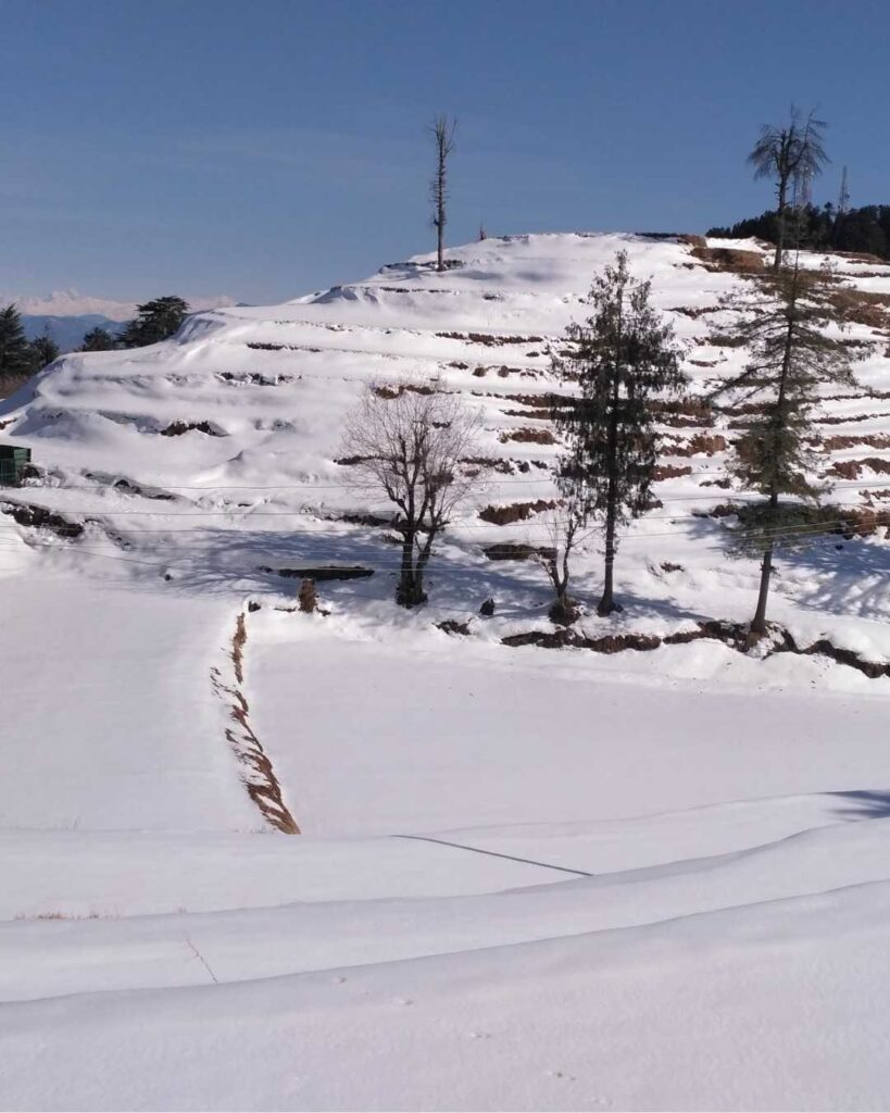 Kufri near Shimla in Himachal Pradesh, known for snow activities and adventure sports, with scenic hills and pine forests