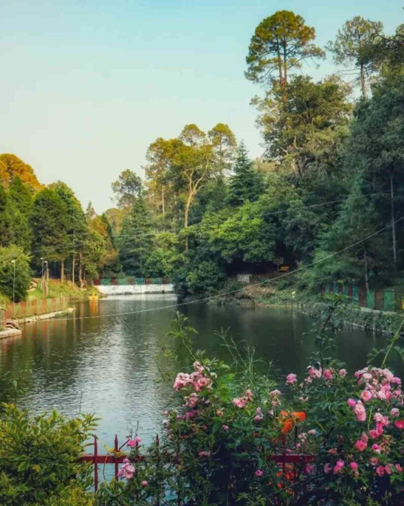 Rani Jheel small scenic lake near Chaubatia