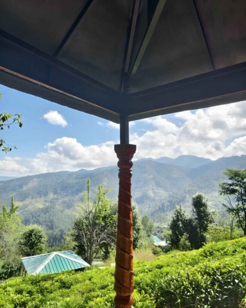 Tea gardens of Kausani with lush green plantations and Himalayan mountain views