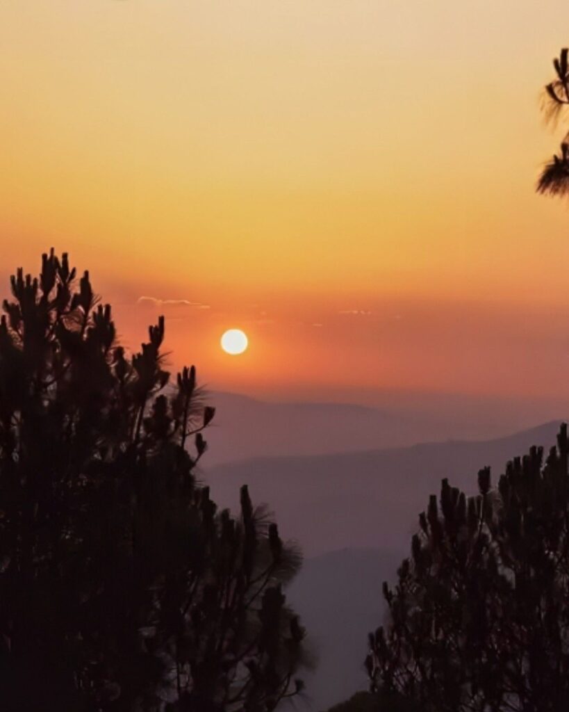 Sunset over layered Himalayan hills with pine trees in the foreground and an orange sky.