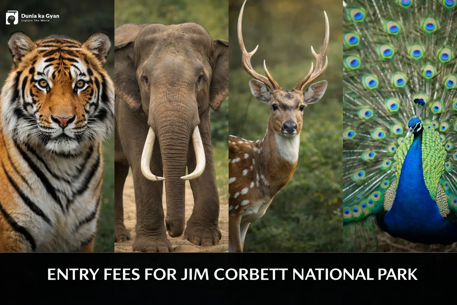 Entry Fees for Jim Corbett National Park