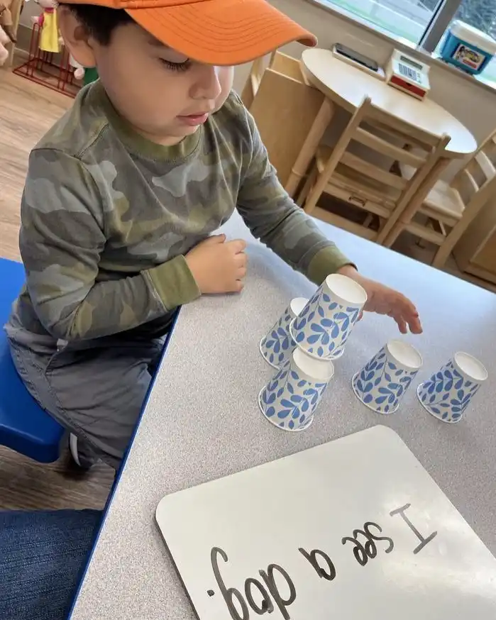 Cup Stacking Challenge