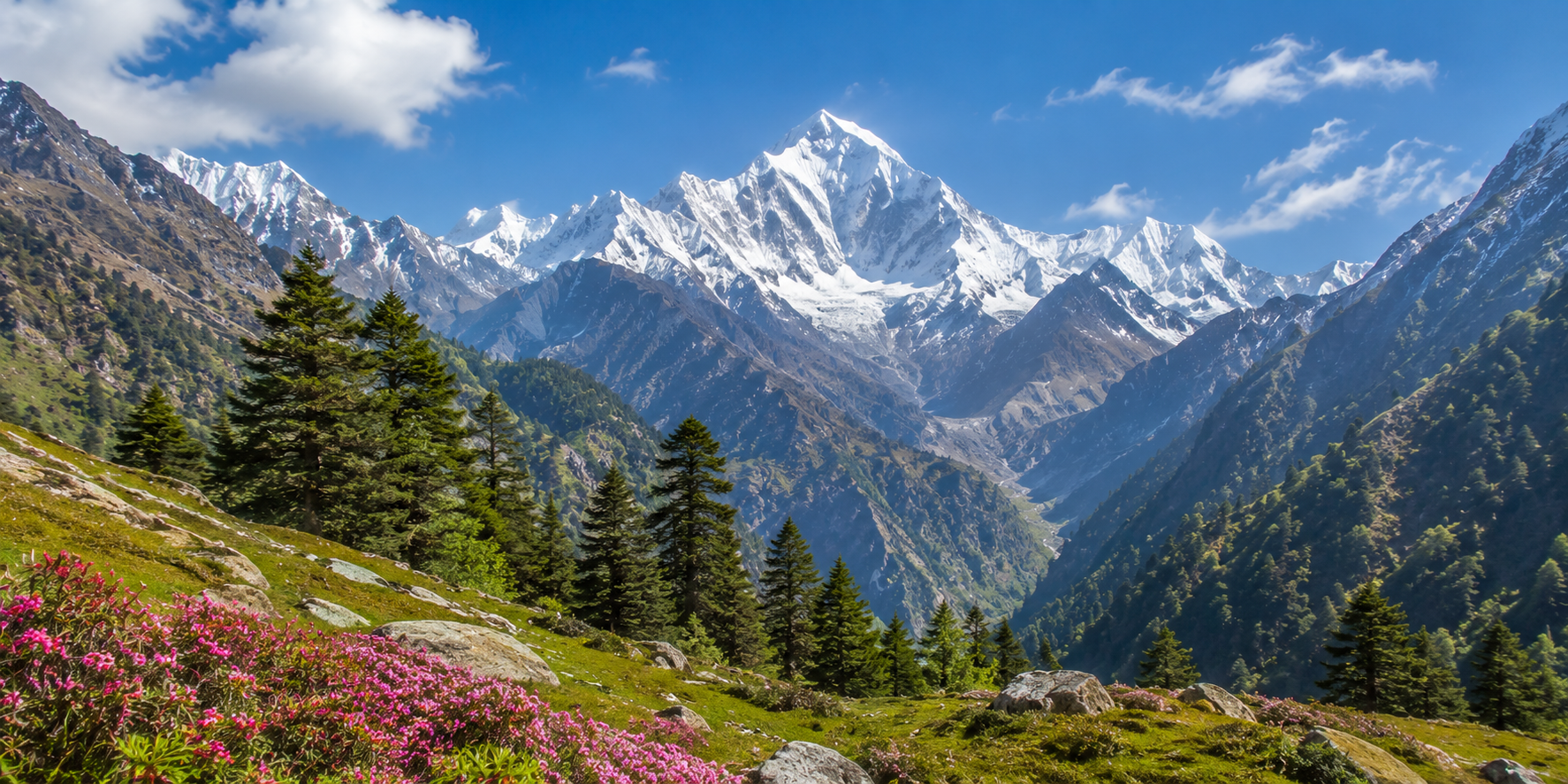 Nanda Devi National Park Guide 2026: Trek, Permit & Travel