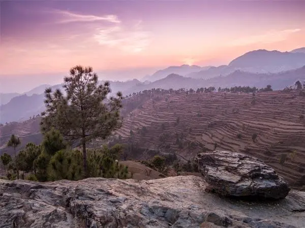 viewpoint
