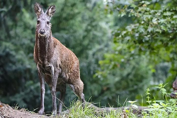 Enjoy Wildlife Photography