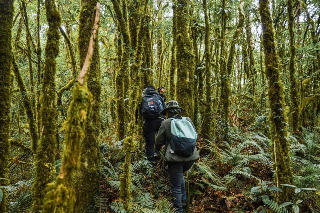 Explore the Sanctuary Through Nature Walks