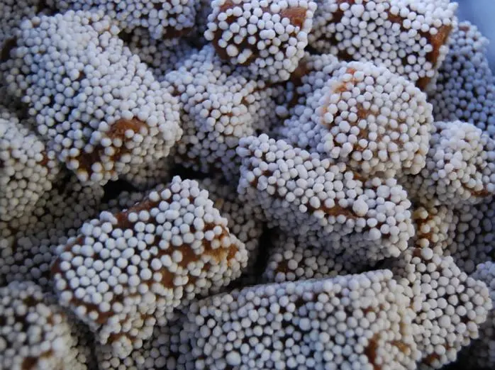 Bal Mithai, Almora